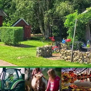 Gospodarstwo agroturystyczne Stutteri Skandihest